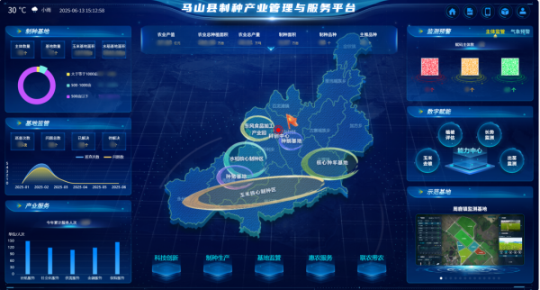 AI+農(nóng)業(yè) | 當(dāng)種子植入“數(shù)智芯片”，馬山縣打造制種基地新標(biāo)桿